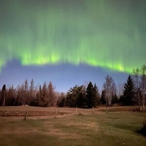 Live show flyer $20 show minimum purchase